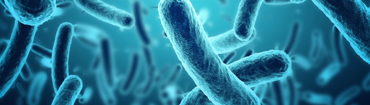 密码子偏好性和可溶性